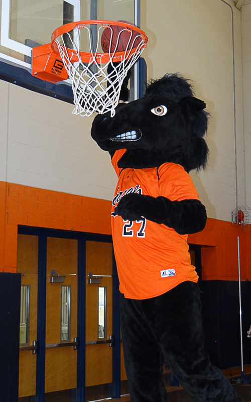 Colt Dunking Image
