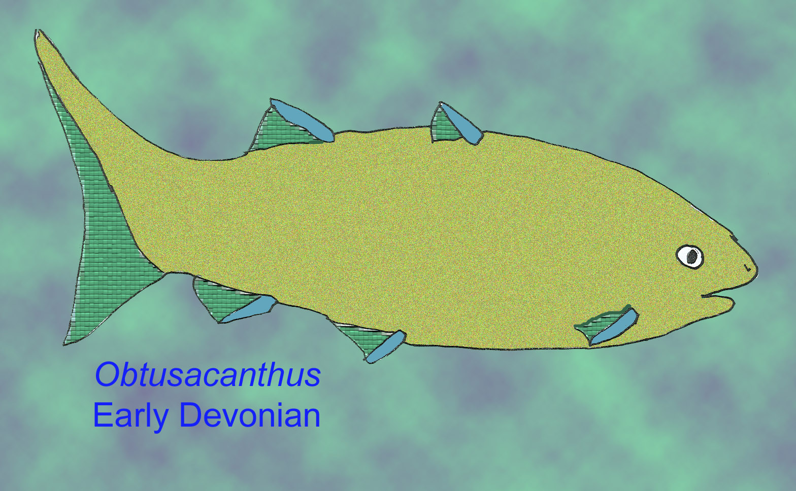 acanthodian from Early Devonian