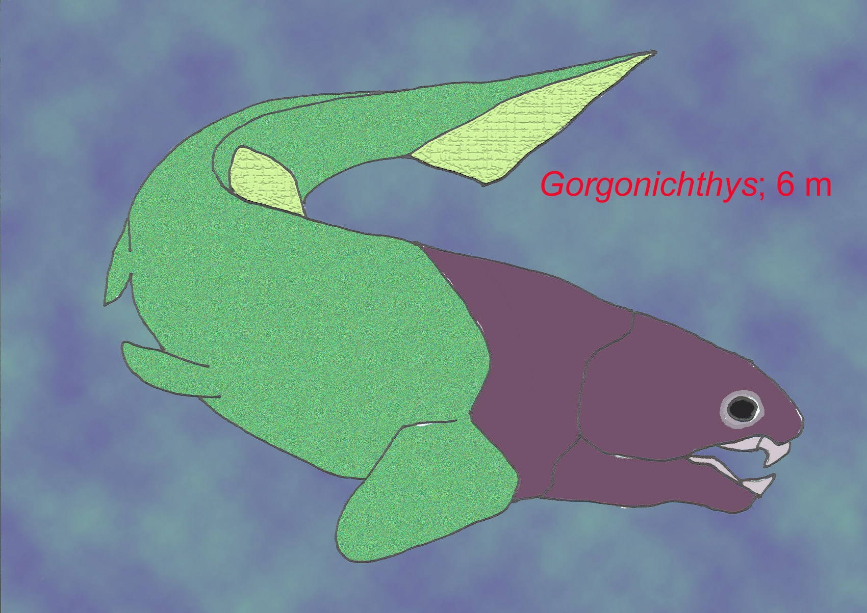 gorgonichthys 6 meters