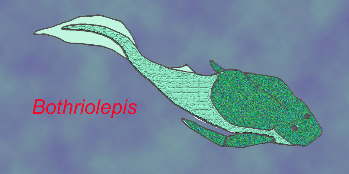 Bothriolepis