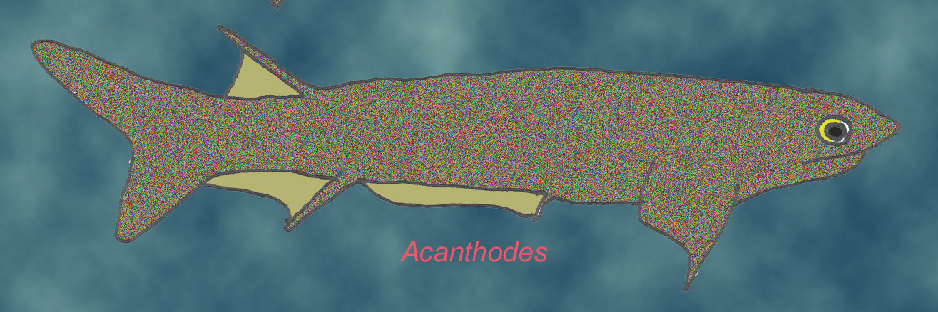 acanthodian