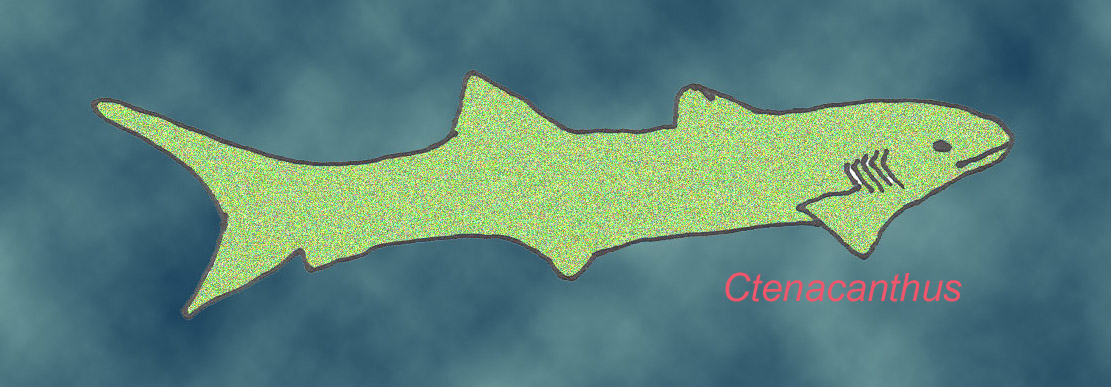 Ctenacanthus shark