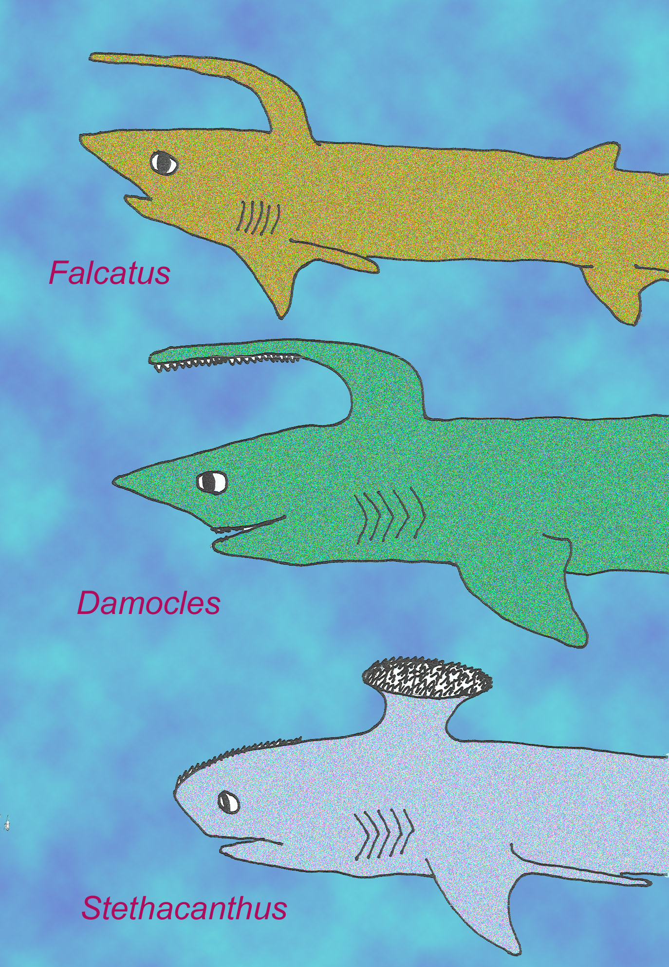 fossil sharks with spines