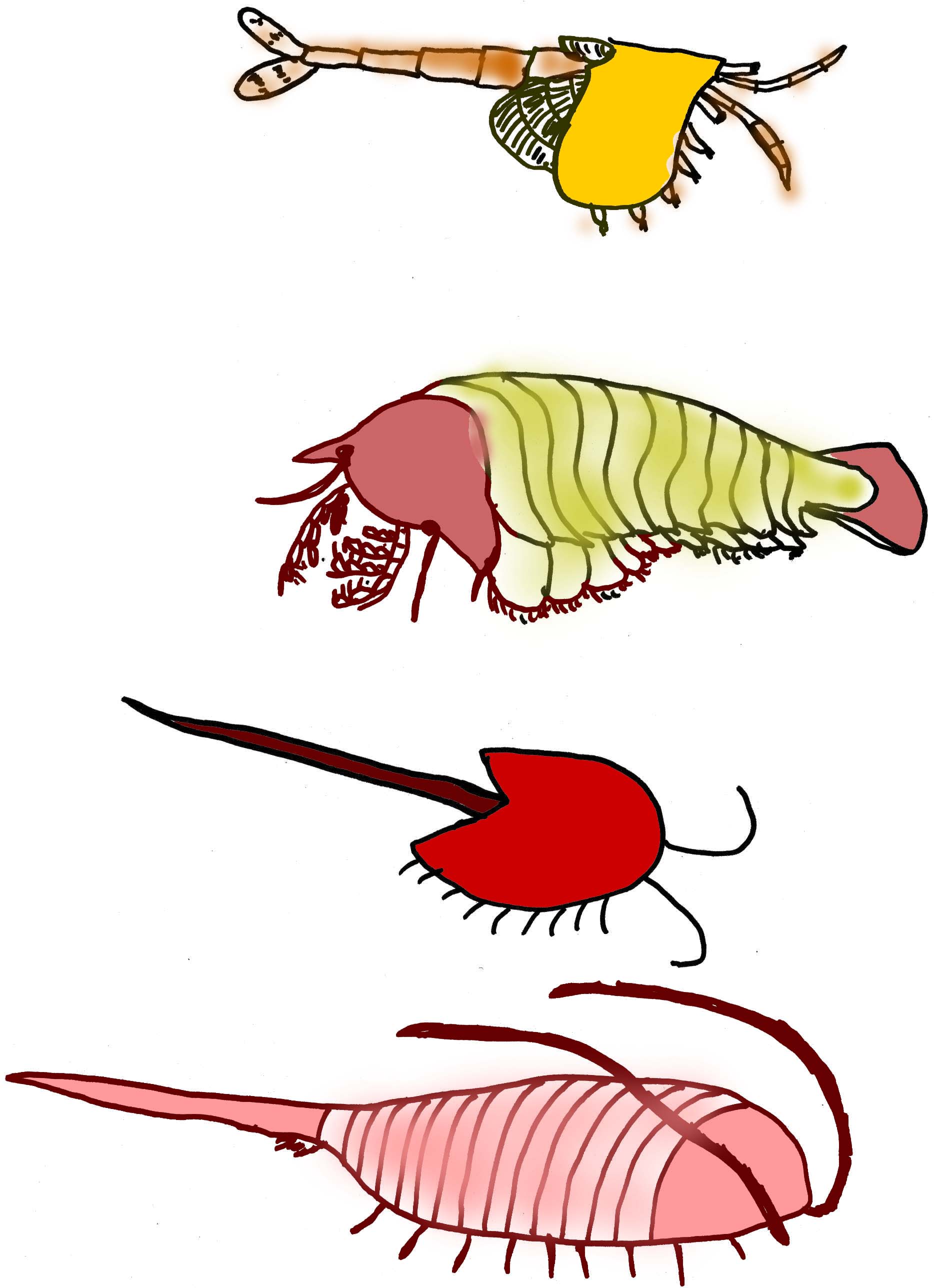 crustaceans