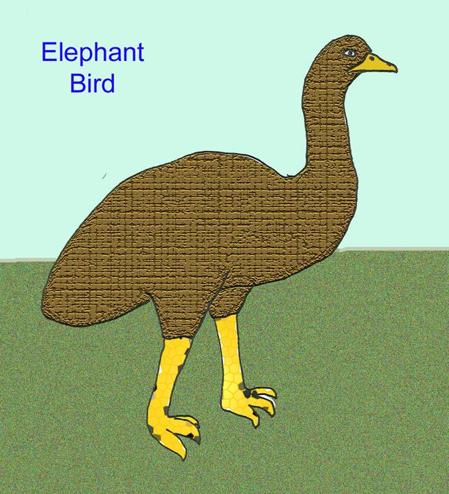 elephant bird