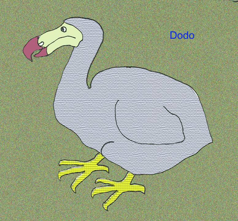 dodo