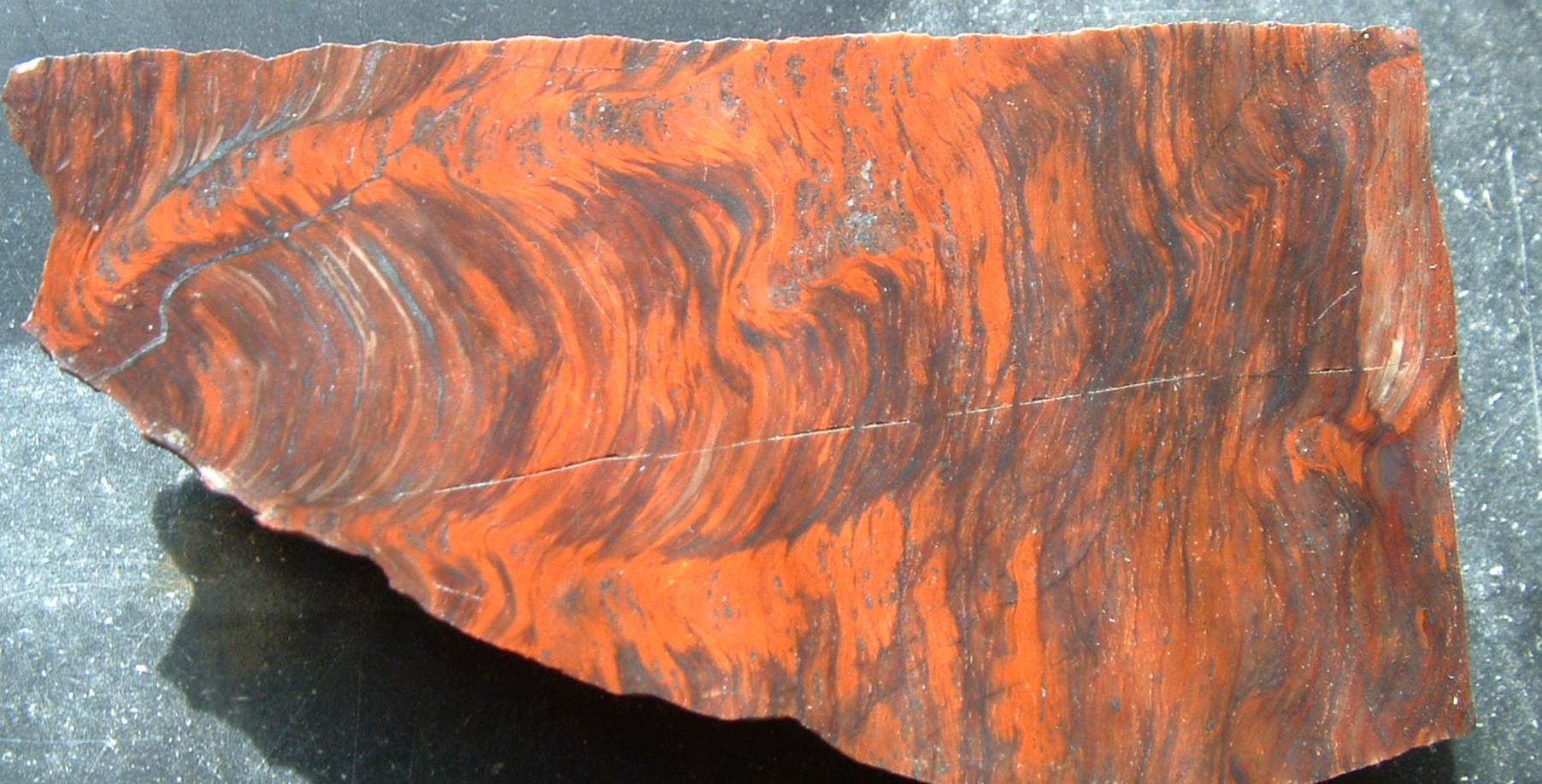 stromatolite