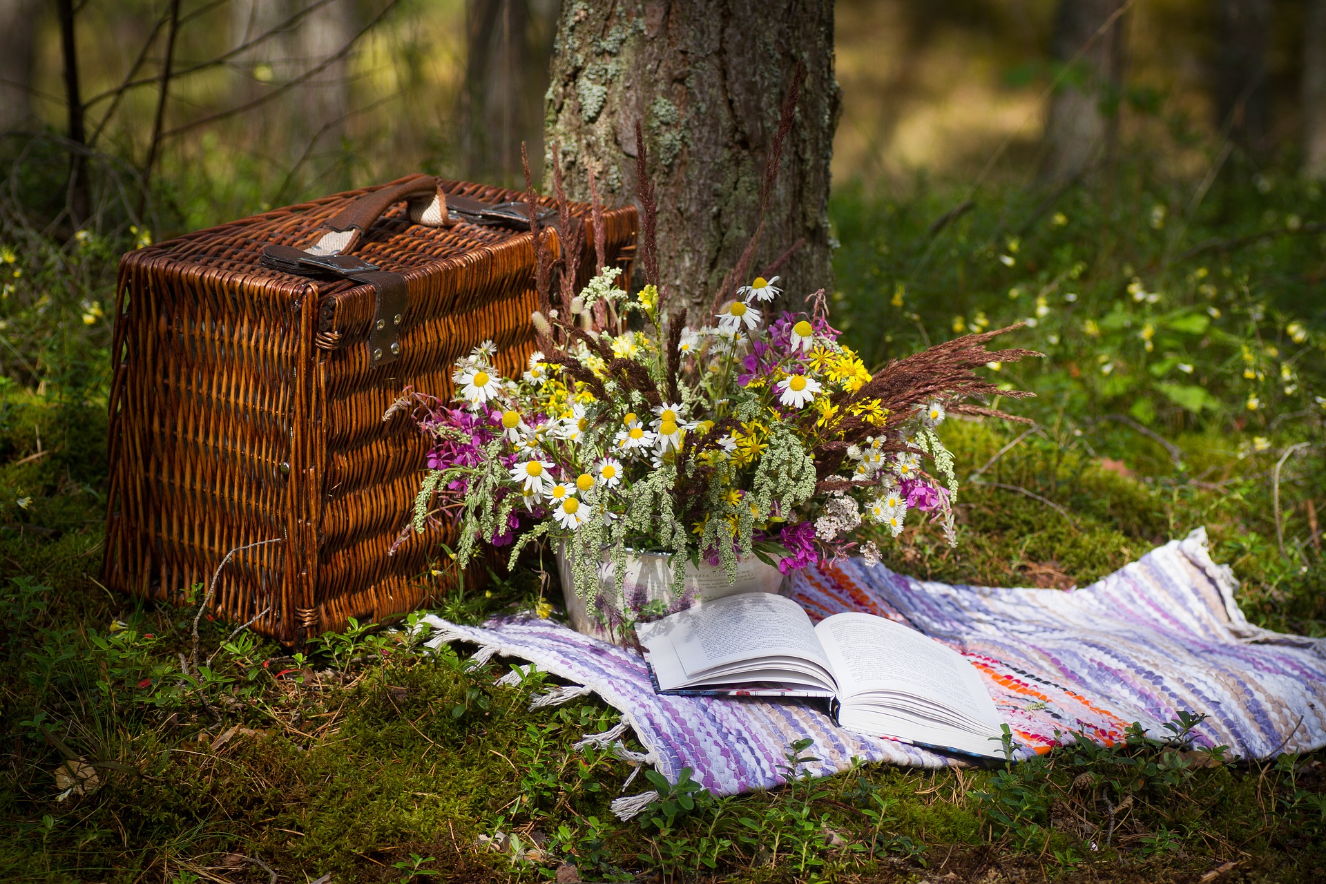 Spring Picnic