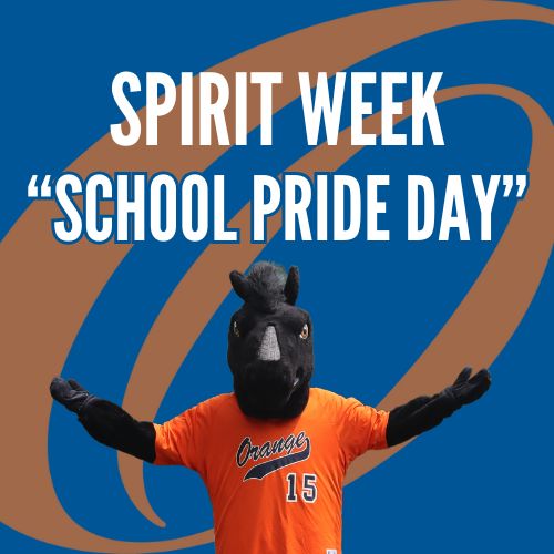 Spirit Week: Show Your School Pride Day