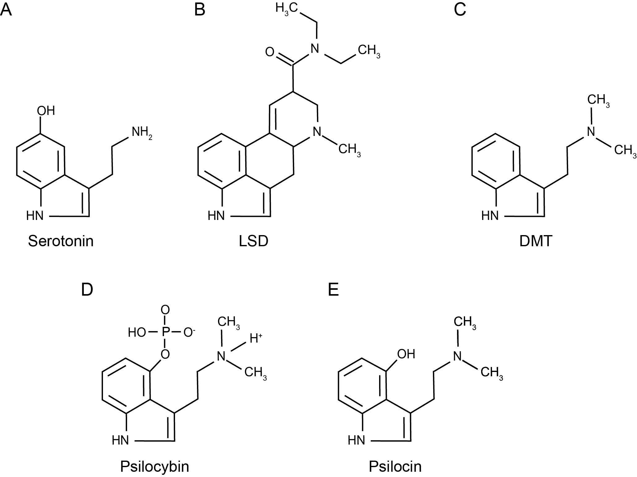 Psychedelics - Not Your Father's Hallucinogens