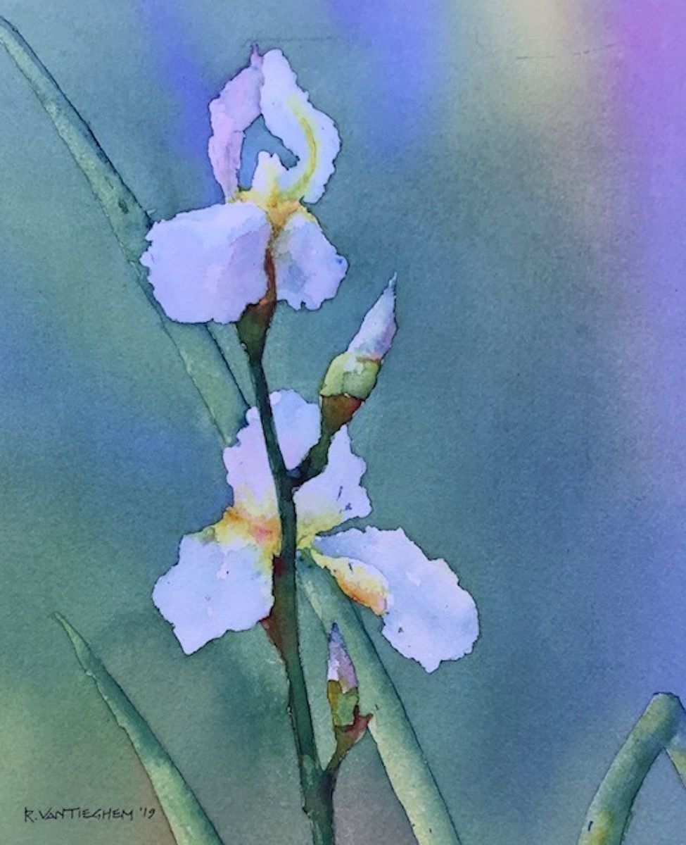 IRIS