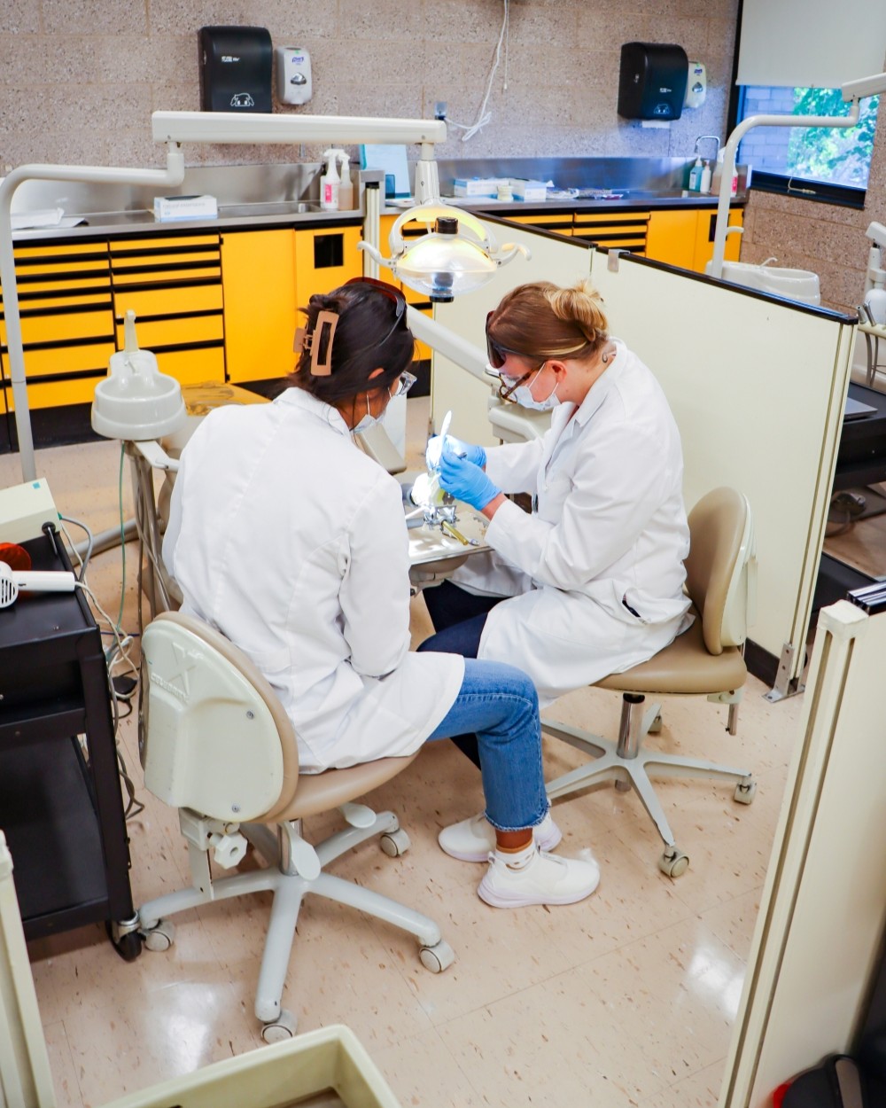 Students working on model of teeth and gums