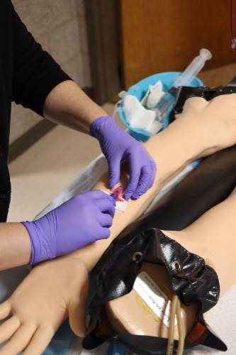 IV insertion demonstration on mannequin arm