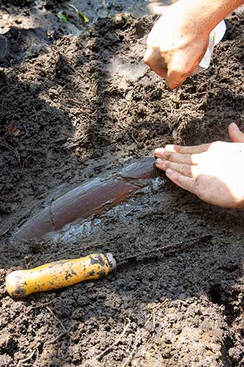 Skeletal remains uncovered
