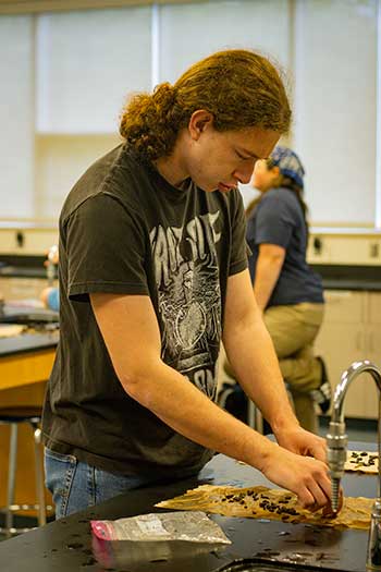 Student in lab