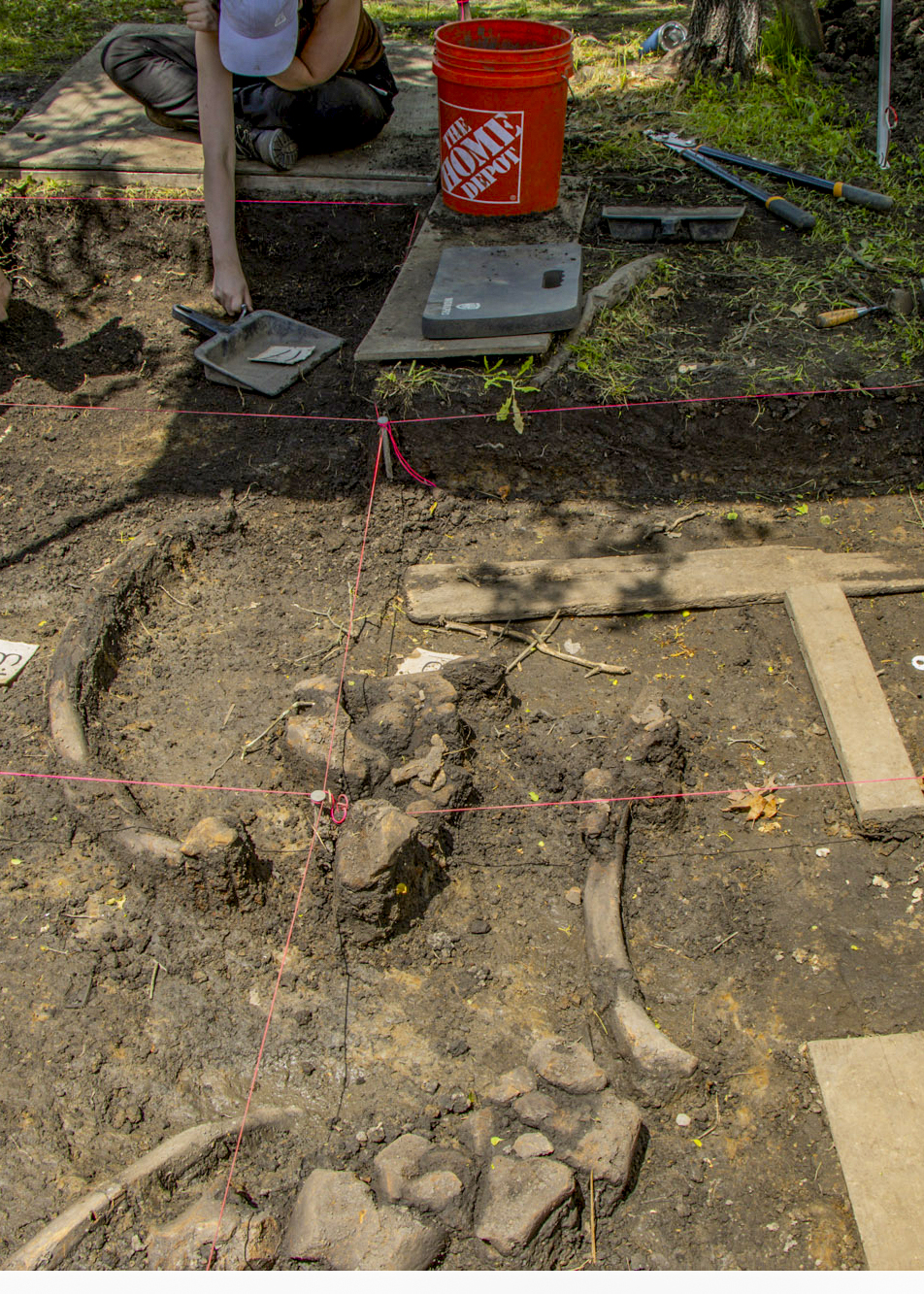 Mastodon dig site