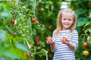 Girl holding a tomato